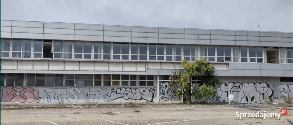 Okno aluminiowe 190 x 200 witryna sklepowa Warszawa sprzedam