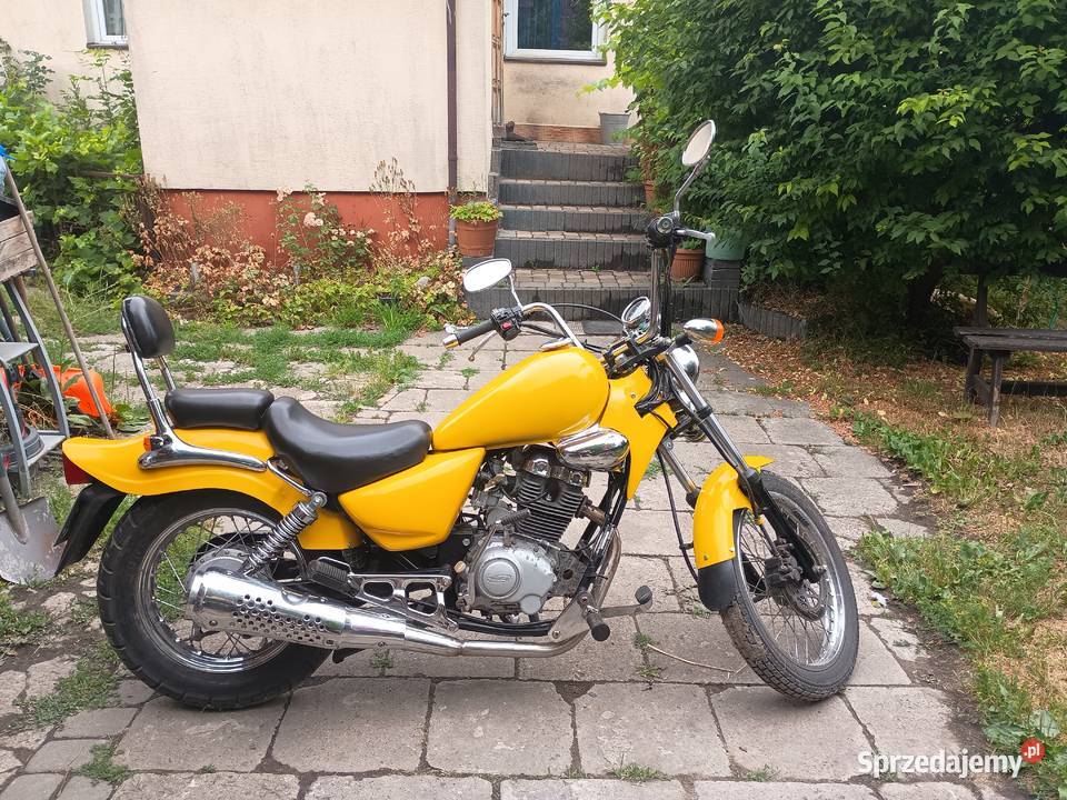 Motor Chopper Rex 125 125cm3 Chełm