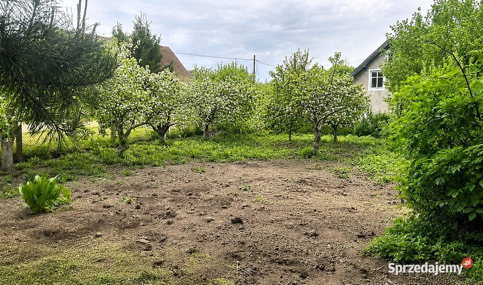 Dom na Warmii 135m2 działka 4700m staw garaż Bieniewo