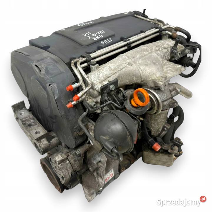 SILNIK BKD VW Golf V Jetta III Touran Skoda osobowe sprzedam