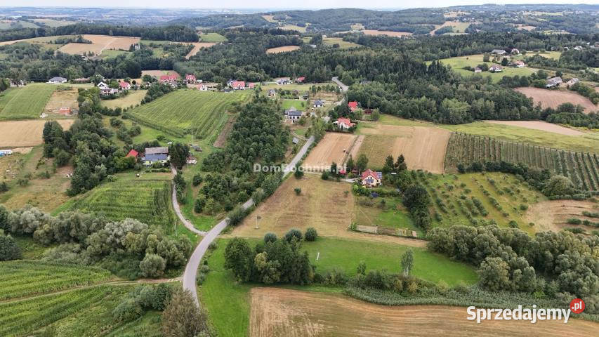 Grunt Gruszów 6200m2 sprzedam