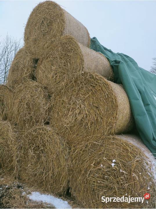 Bele słomy Pace sprzedam
