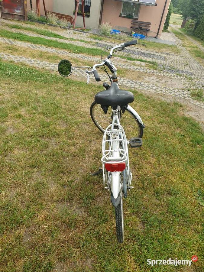 Rower Batavus