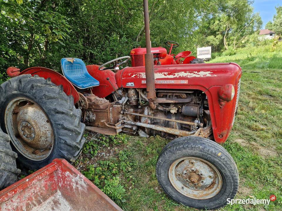 Massey ferguson 35 ursus małopolskie sprzedam