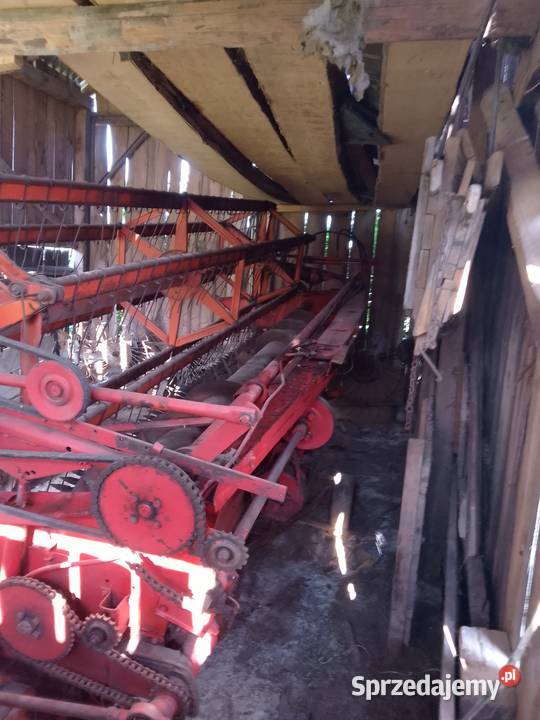 Bizon zo 56 Kraśnik