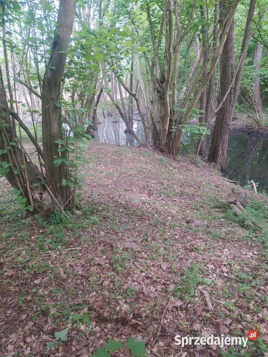 Działka budowlana z linią brzegową lubuskie Gronów