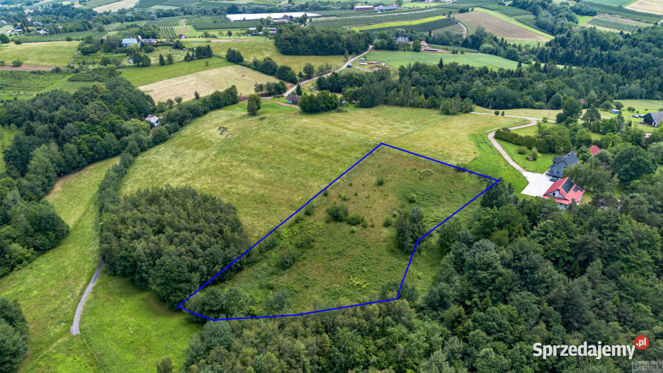 Grunt sprzedam 6500m2 Zegartowice Zegartowice