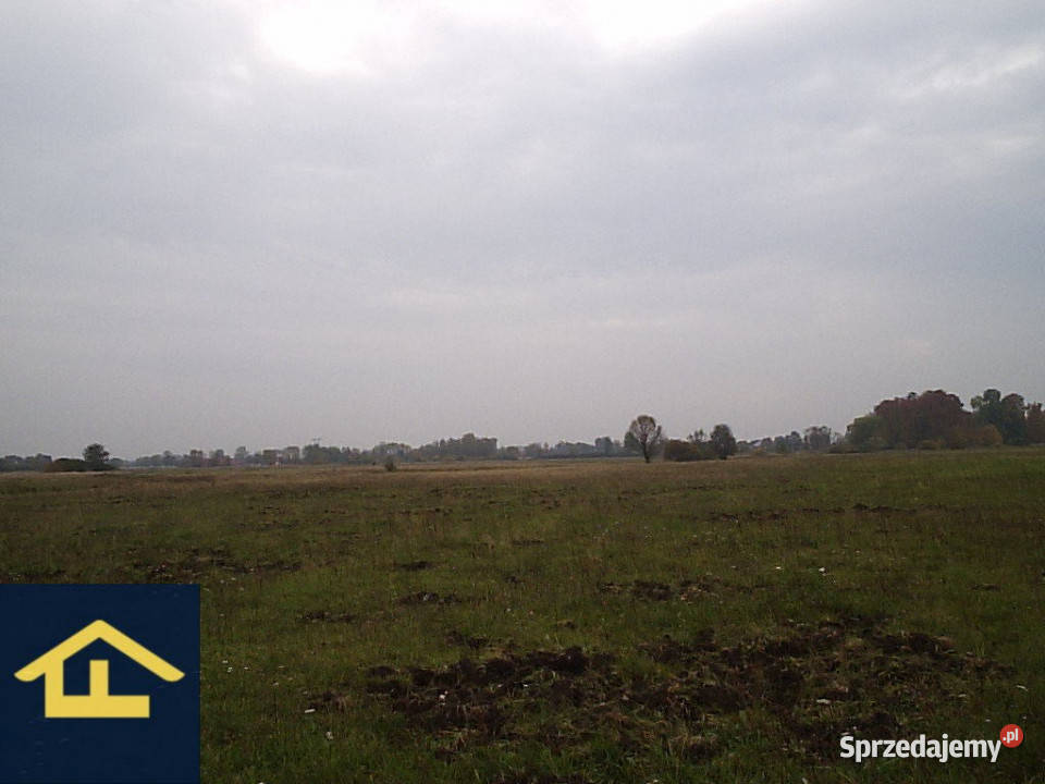 Działka w Całowaniu Nieruchomości mazowieckie Całowanie