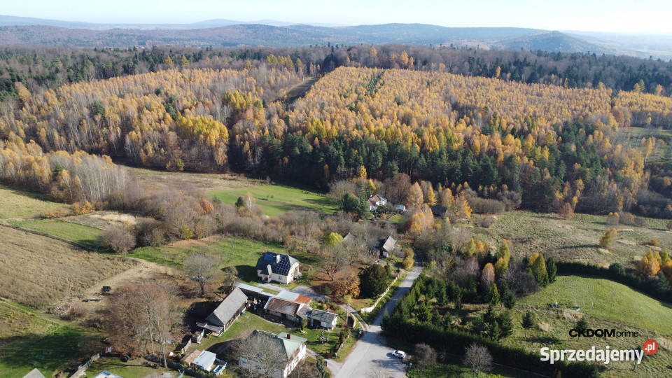 Działka inwestycyjna Cisów 22 500 m