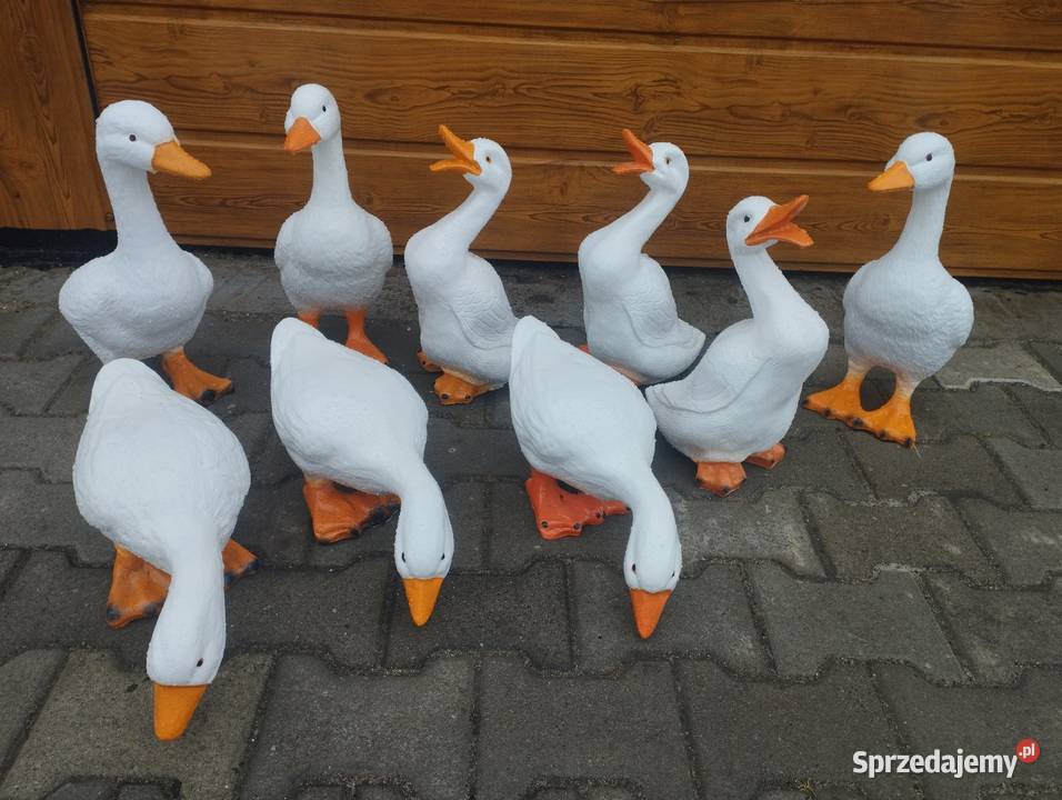 Figurka ogrodowa gęś gąska z masy żywicznej wielkopolskie Szamotuły
