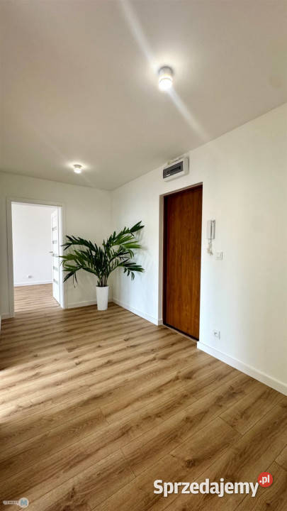 sprzedaży mieszkania Kielce 538m2 2 pokoje Liczba pokoi 2
