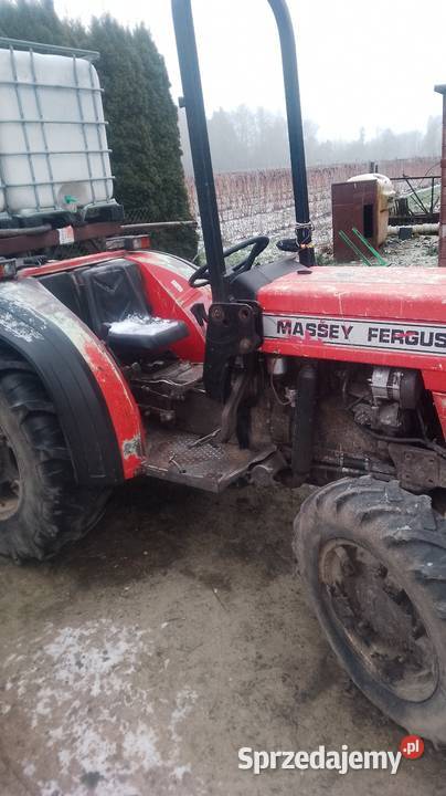 Massey Ferguson 174F Natalin sprzedam