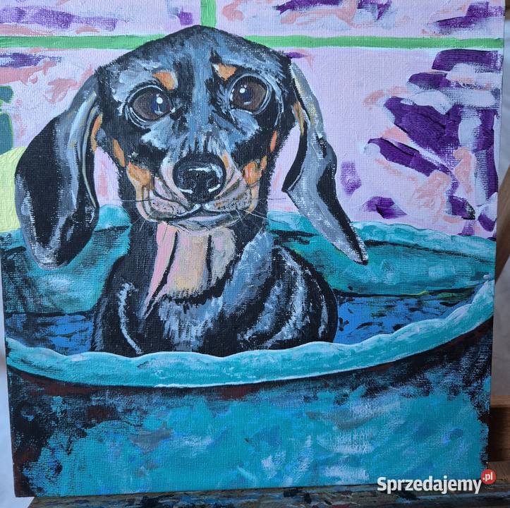 Obraz jamnik jamniczek artysty na prezent na małopolskie Brzesko sprzedam