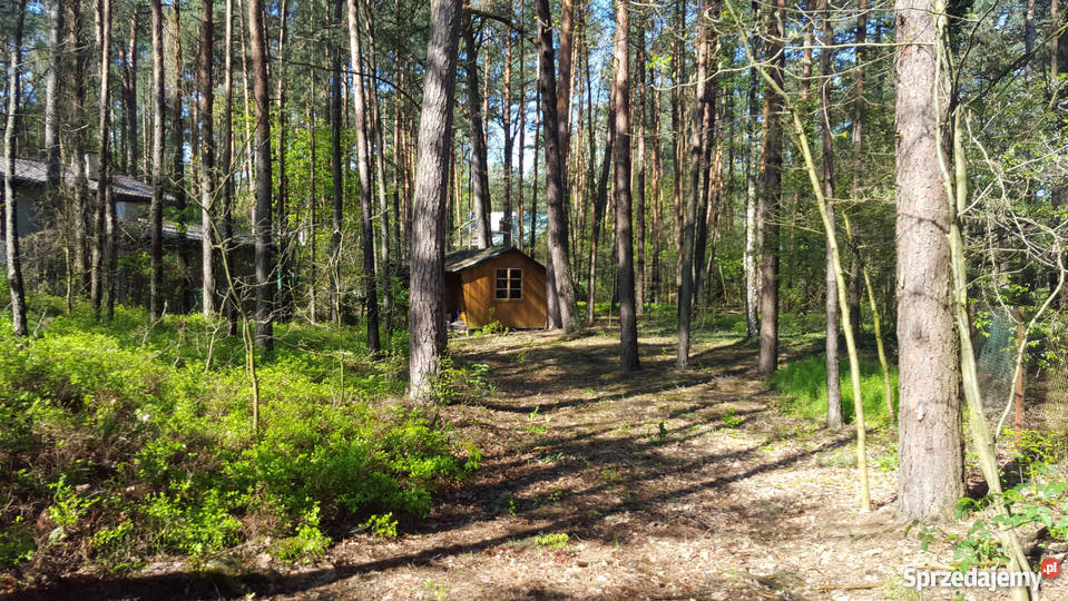 Działka na sprzedaż Wyszków RYBIENKO LEŚNE woda Wyszków