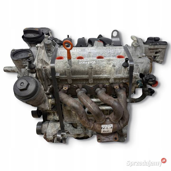 SILNIK BLF VW Touran Golf V Eos Jetta III 16 FSI Chełm