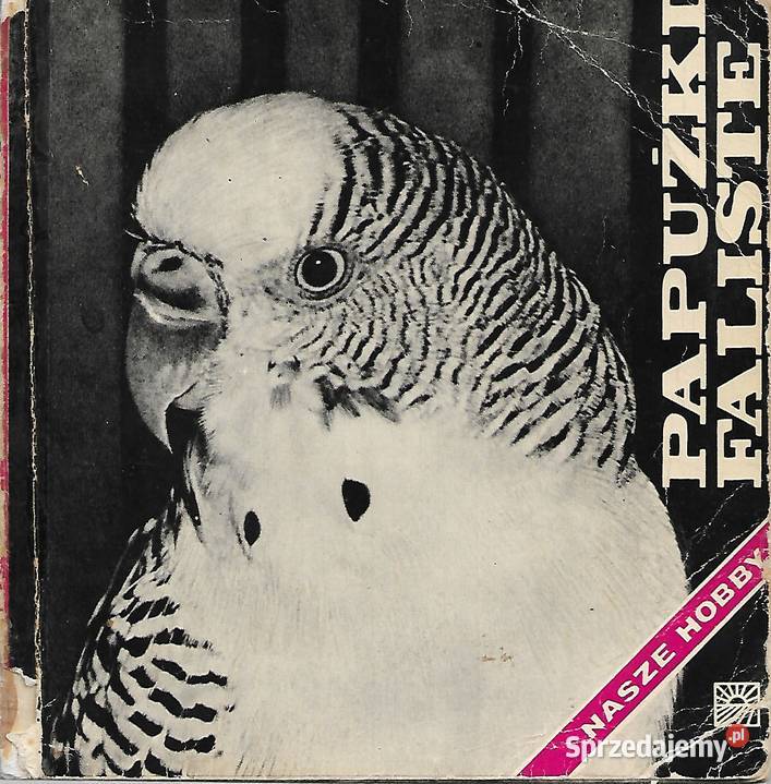 Papużki faliste nasze hobby J Landowski Puławy