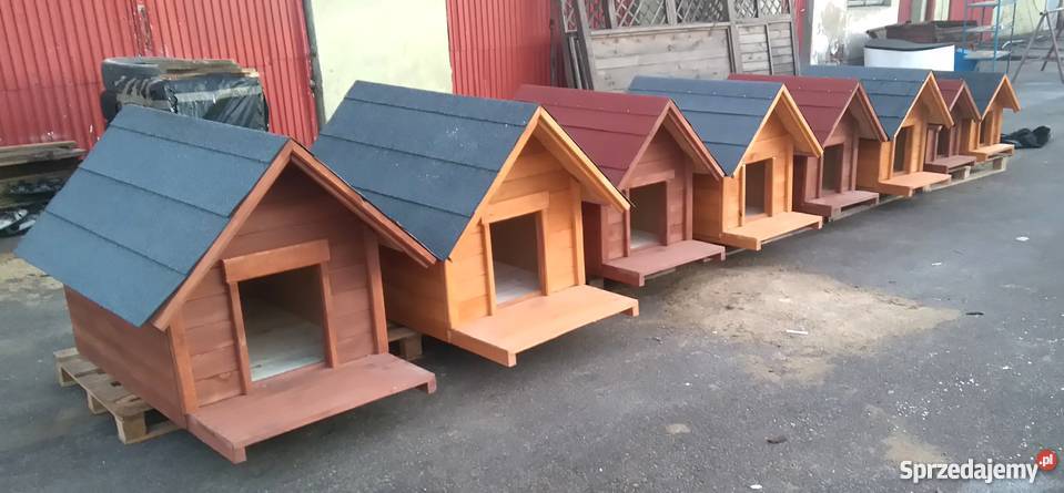 Buda psa Różne rozmiary i kolory Kielce