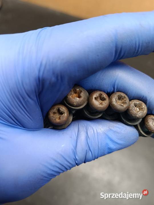 Śruby śrubki pokrywy magneta lewej silnik części Gołaczewy