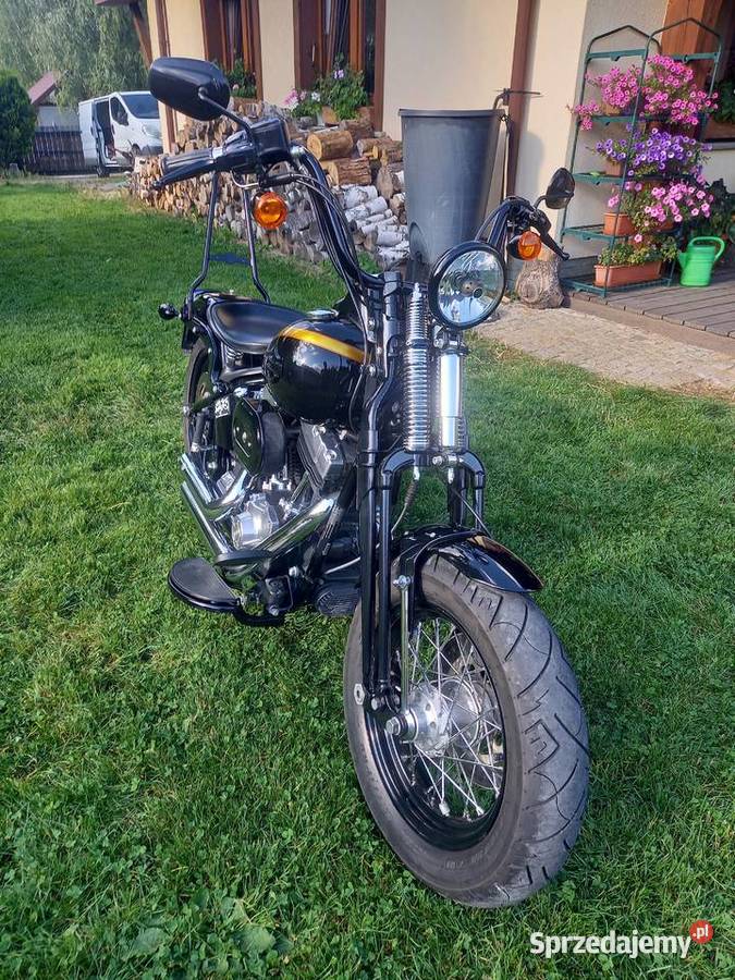 Harley Davidson Flstsb Cross Bones Springer