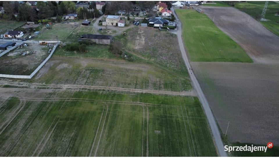 Działka budowlana Sprzedaż Rożental