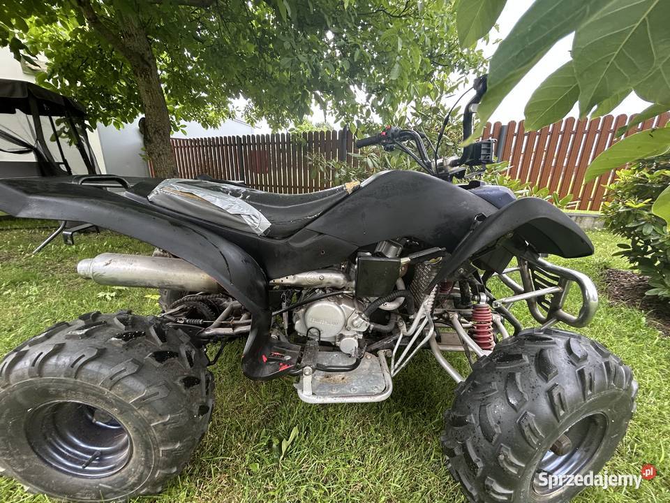 Sprzedam qada bashan 200 Bashan Grabów nad Pilicą
