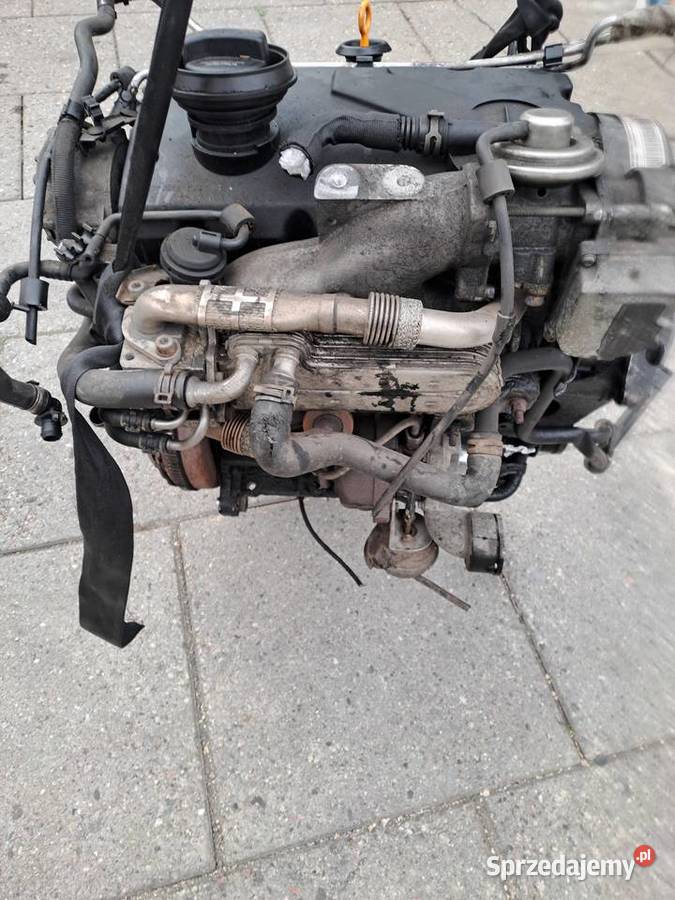 Audi Seat Skoda Volkswagen 19 TDi 105 silnik Jastrzębie-Zdrój