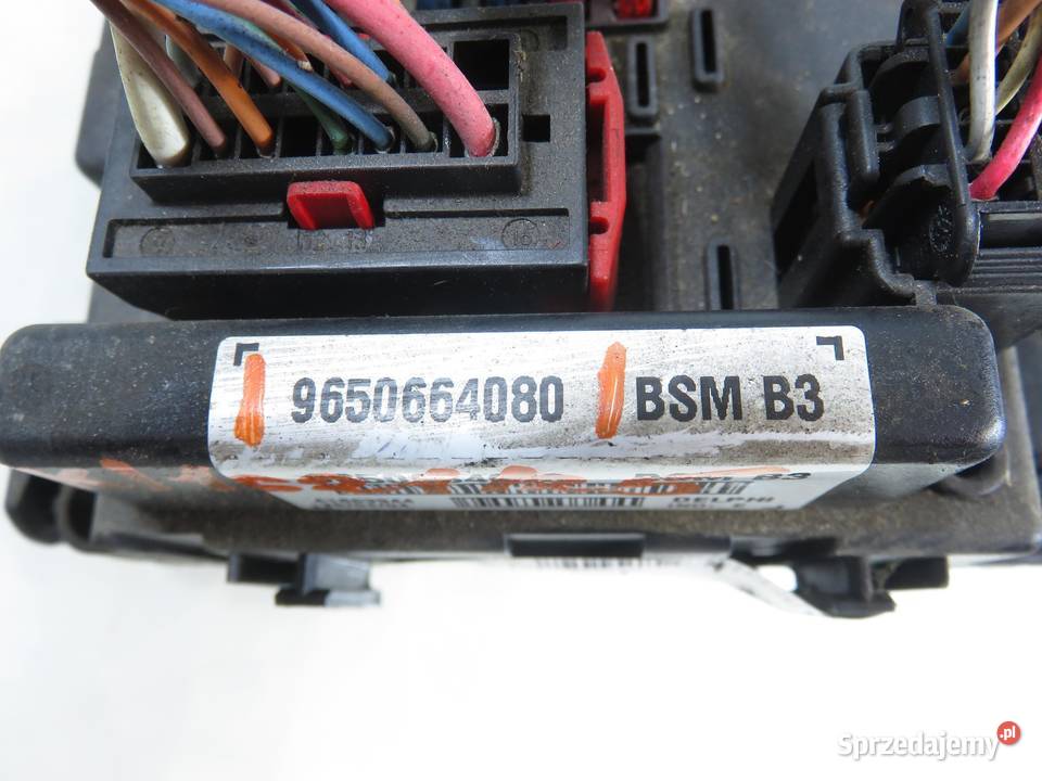 BSI PEUGEOT 307 9650664080