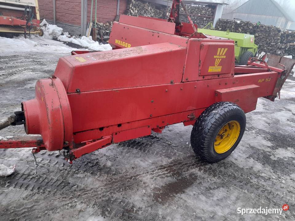 Sprzedam prase welger ap 52 sprowadzona Lechów