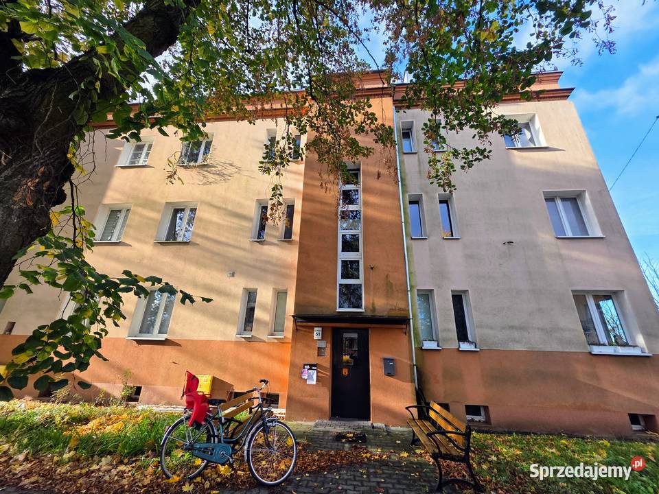 Przytulne mieszkanie na wynajem cozy place