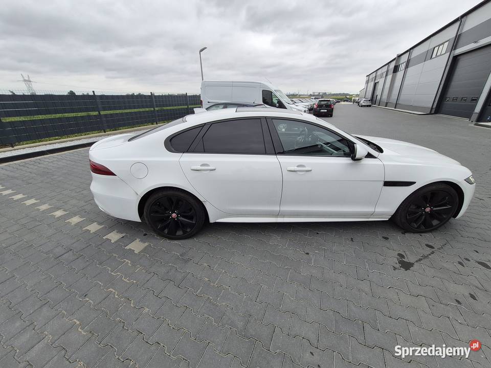 Syndyk sprzeda Jaguar XF 20P I4 250 RWD Auto Warszawa