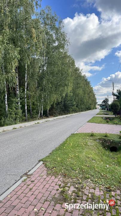 Działka budowlana 1233m2 Sabnie 10 min do mazowieckie Hołowienki