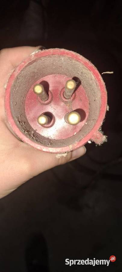 Śrutownik do zboża gryzoń