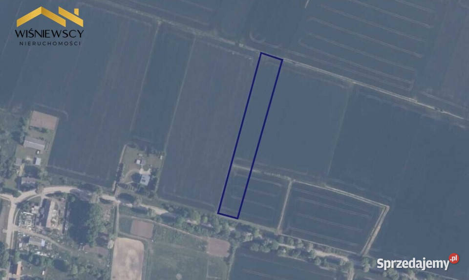 445 ha gruntów rolnych Palczewo Sprzedaż