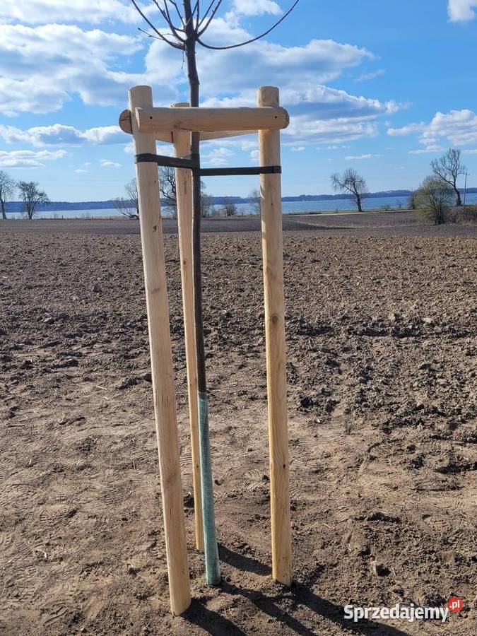 Słupki drewniane toczone paliki wałki