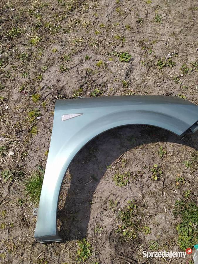 Renault Scenic 2 błotnik prawy przód Błotniki Wartkowice