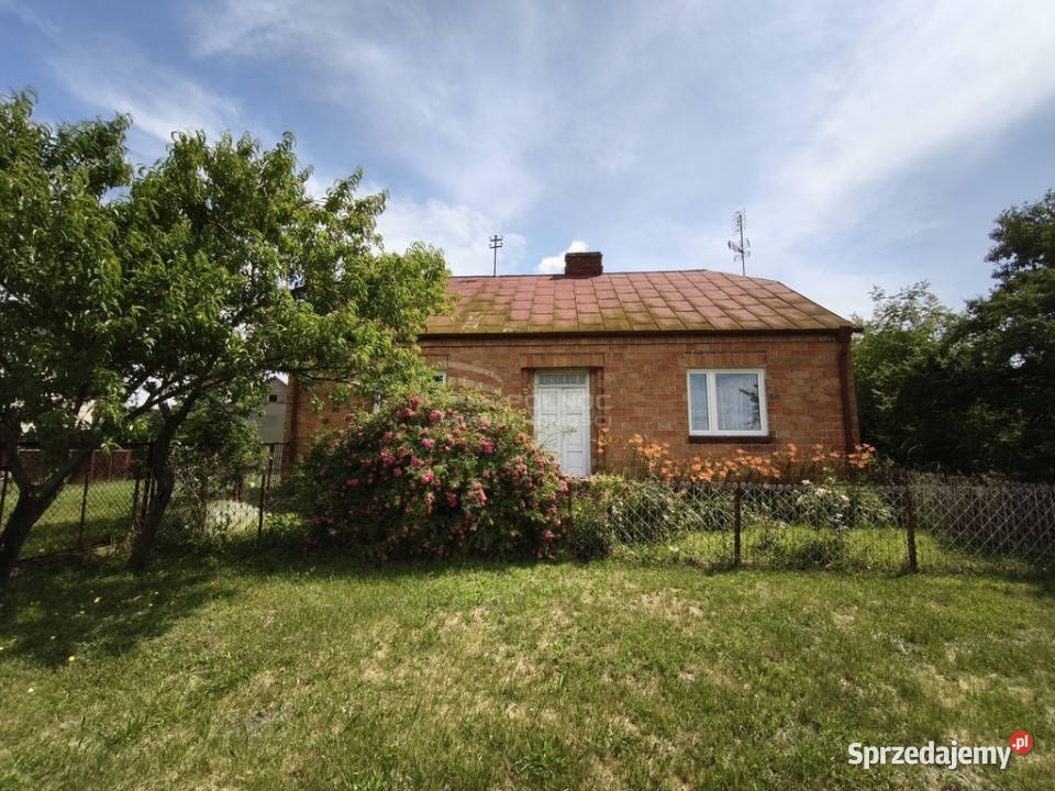 Siedlisko w Lebiedziewie gmina Terespol 13133m2 Lebiedziew sprzedam