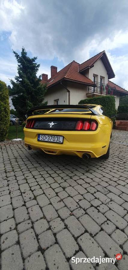 Ford Mustang 37 benzyna piękny 2015 Ford Cisiec