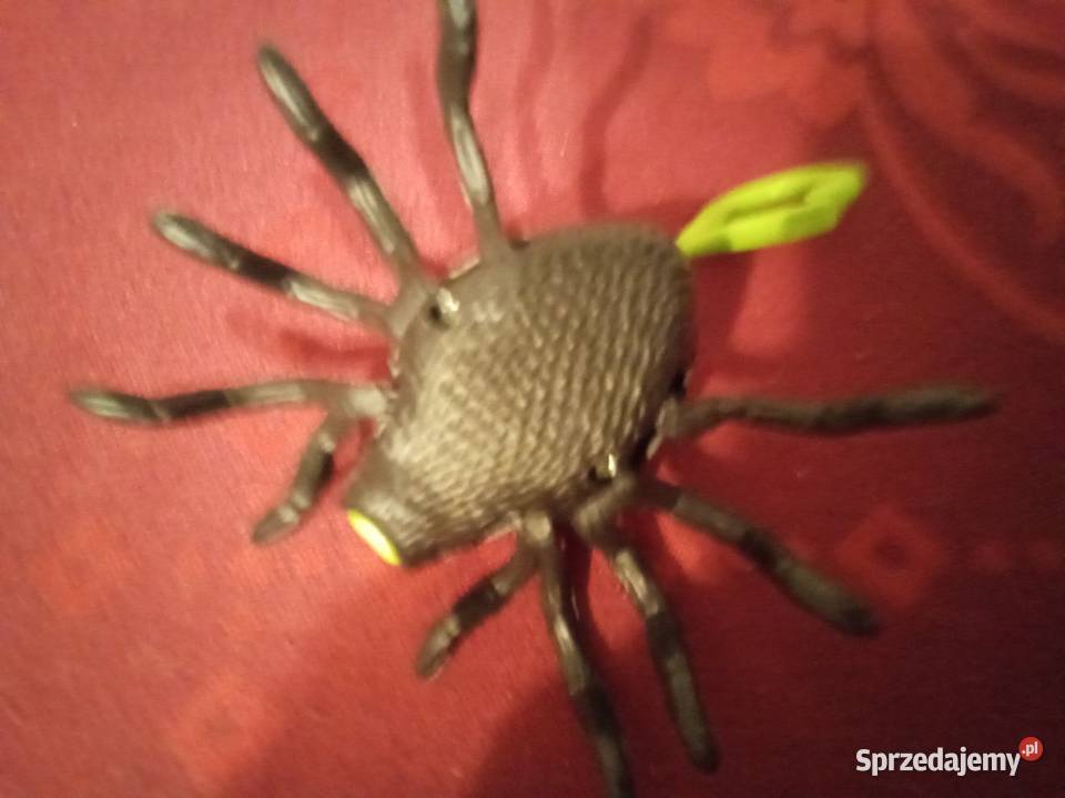 Pająk brelok mazowieckie Warszawa
