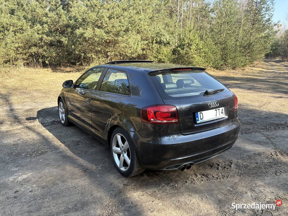 Audi A3 sline 8p 20tdi CR 170 DSG stronic 2009 1968cm3 Jelcz-Laskowice