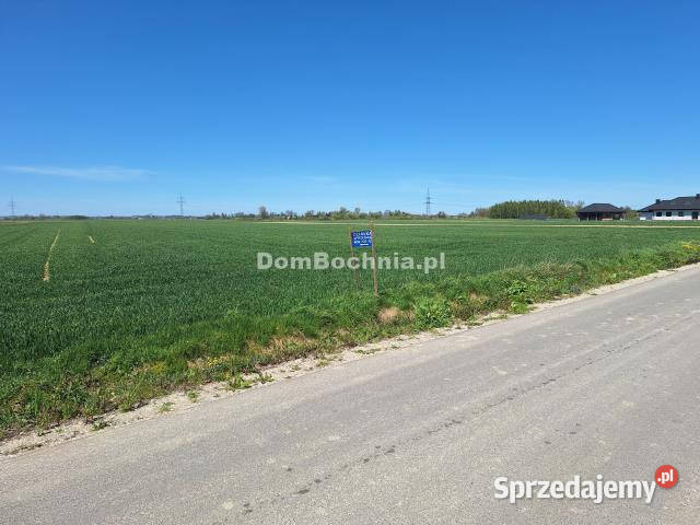 Grunt Borzęcin 7800m2 Sprzedaż
