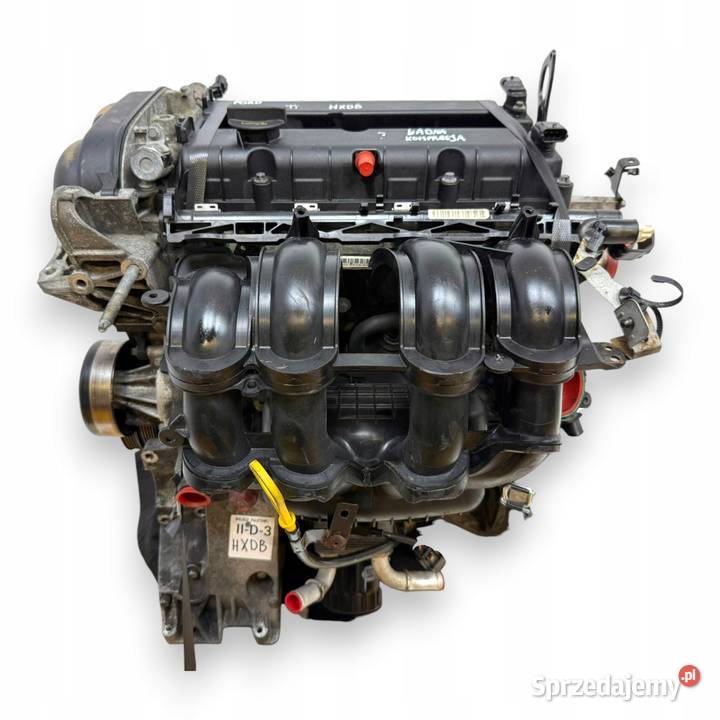 SILNIK HXDB Ford Focus II MK2 C C 16 16V Ti HXDA Chełm