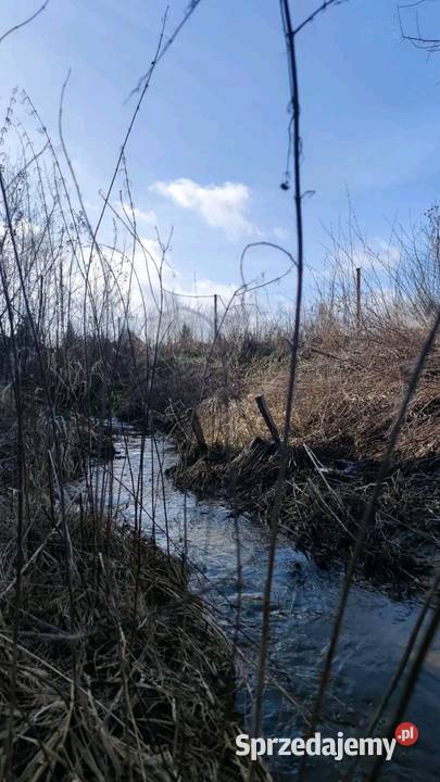 Dzialka z Warunkami Zabudowy Szymbory