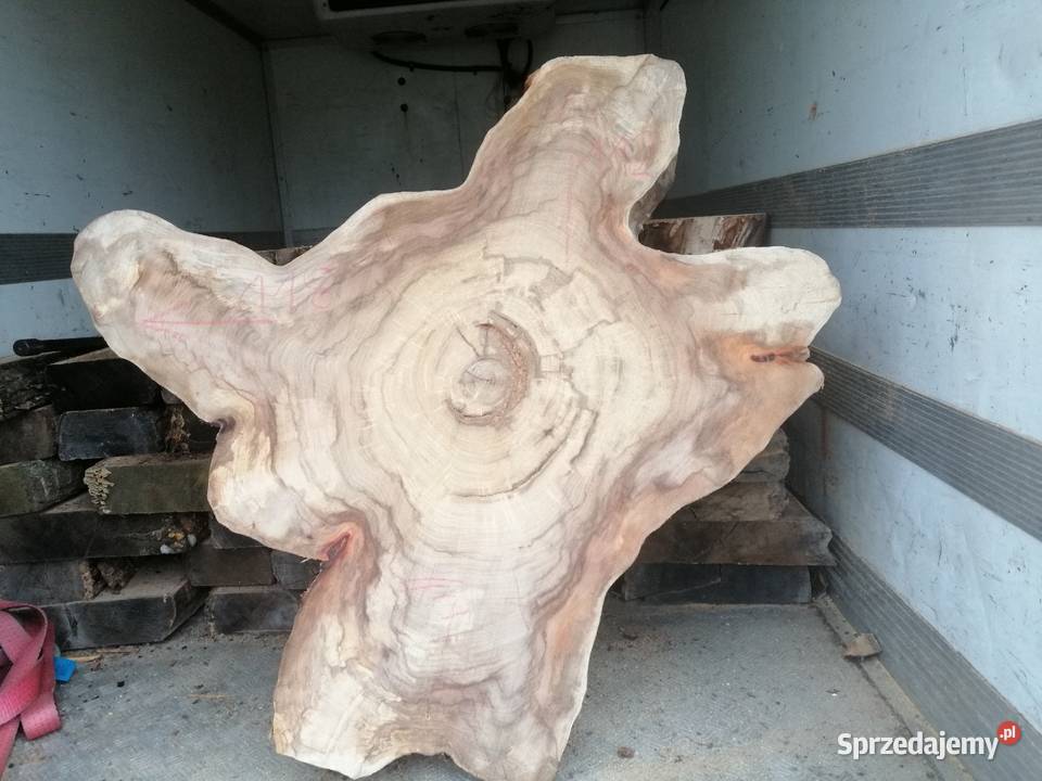 Stolik kawowy plaster wiązu 100 x 100 x7 100cm Przysucha