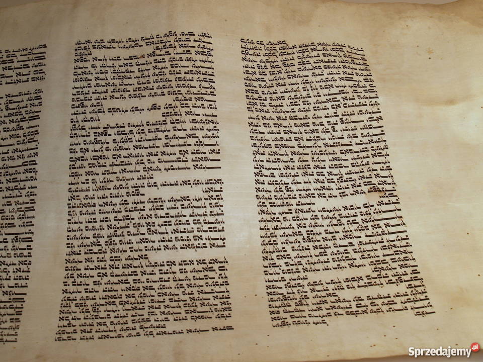 Dziewiętnastowieczna tora na pergaminie małopolskie Tarnów