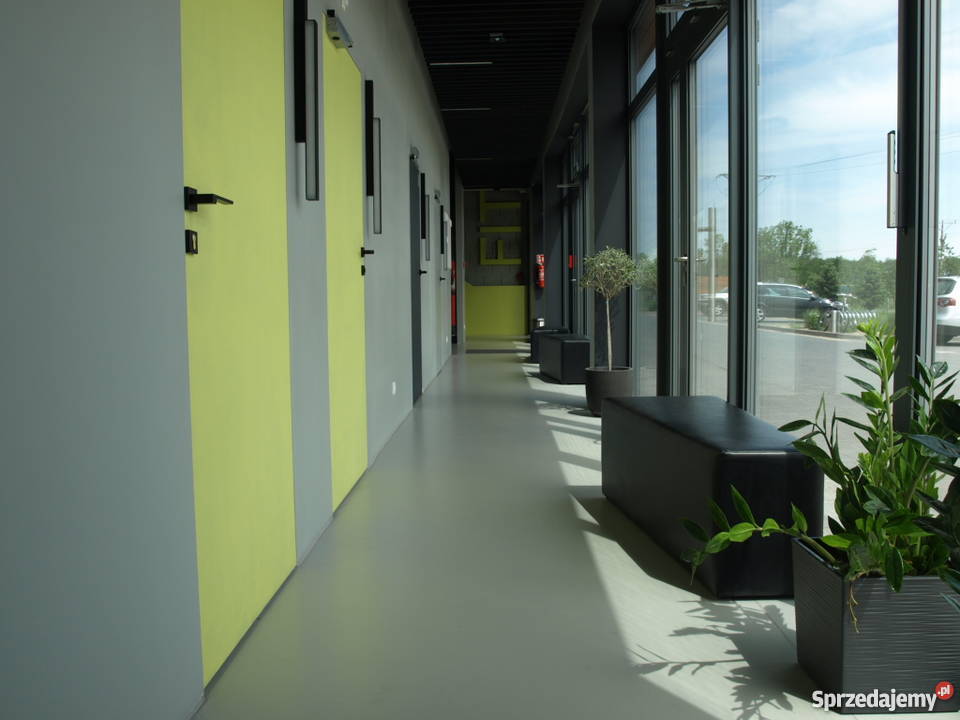 Fizjoterapia Osteopatia Kąty Wr gabinetzdrowia Kąty Wrocławskie uroda