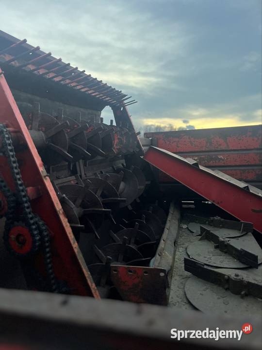 Rozrzutniki Zbuczyn sprzedam