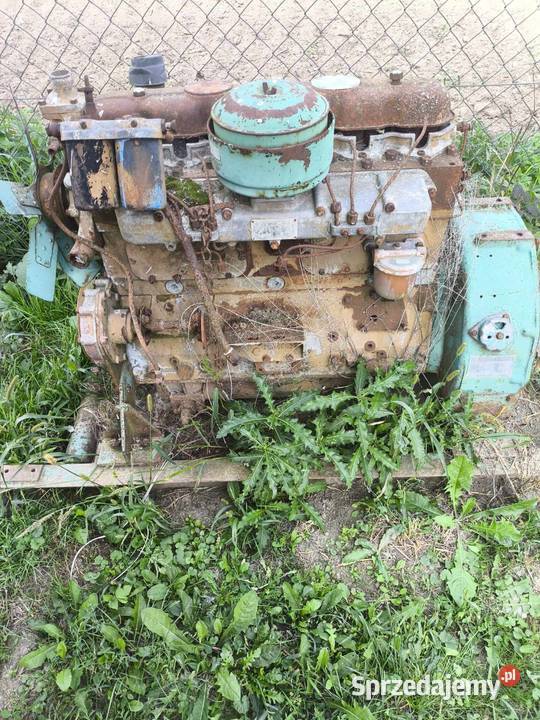 Silnik bizon Rolnictwo