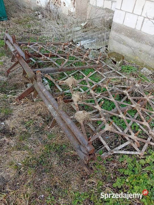 Brony 5 podlaskie Zambrów