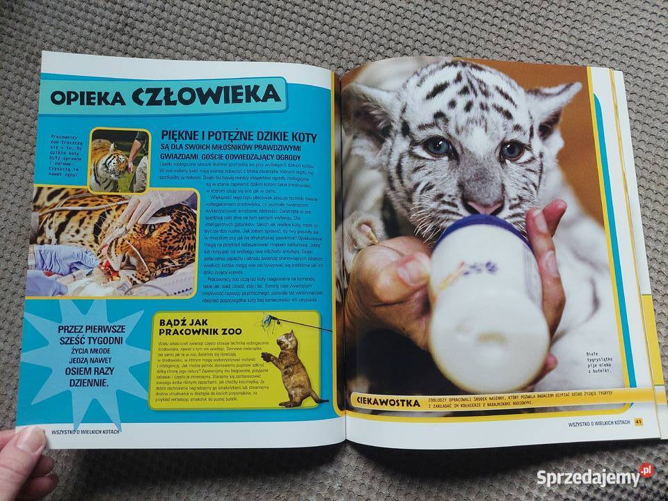 National Geographic Kids Wszystko o wielkich Popularnonaukowe