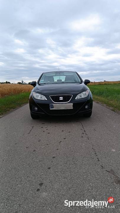 Seat Ibiza IV Pierwszy właściciel w kraju do 86KM podkarpackie Żuków sprzedam